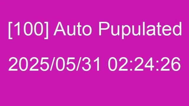 [100] Auto 2025/05/31 02:24:26