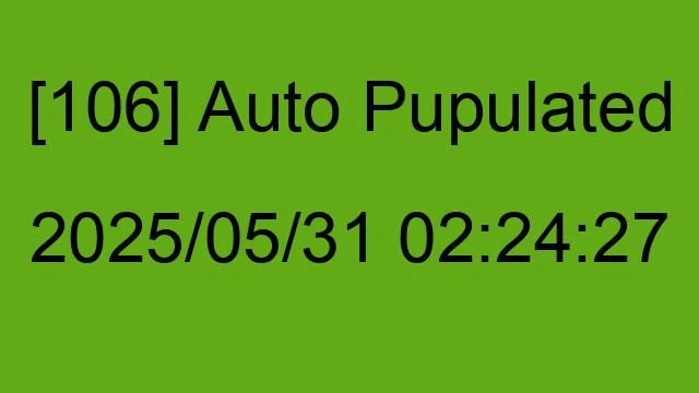 [106] Auto 2025/05/31 02:24:27