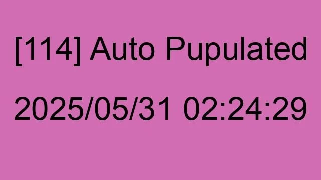 [114] Auto 2025/05/31 02:24:29