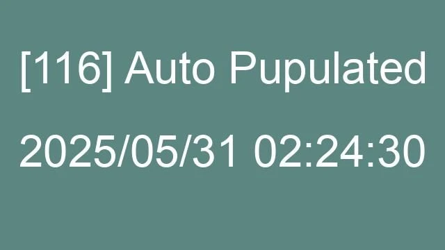 [116] Auto 2025/05/31 02:24:30