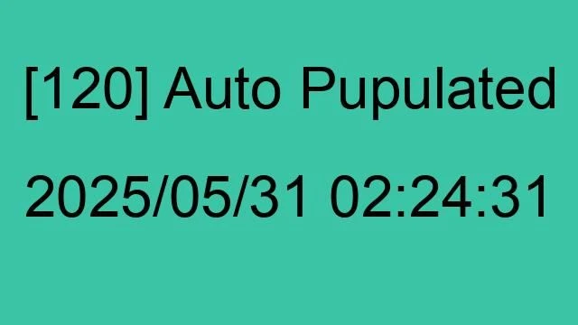 [120] Auto 2025/05/31 02:24:31