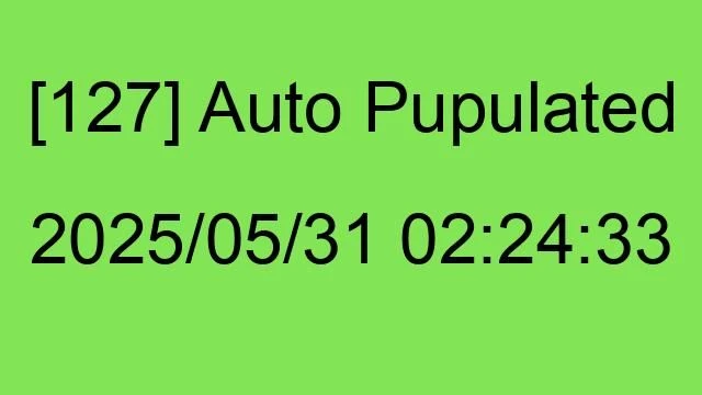 [127] Auto 2025/05/31 02:24:33