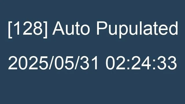 [128] Auto 2025/05/31 02:24:33