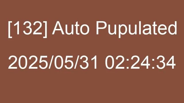 [132] Auto 2025/05/31 02:24:34