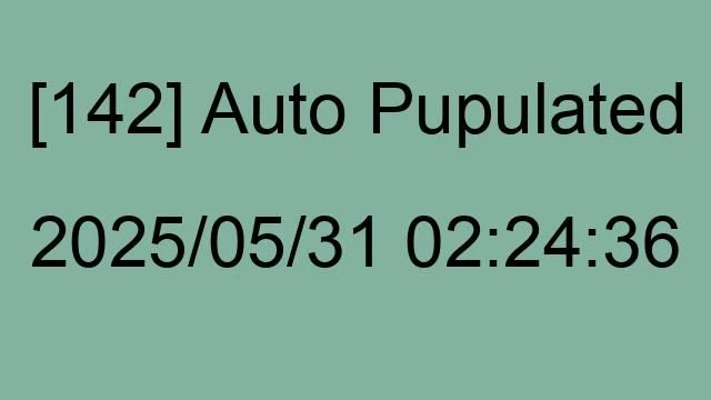 [142] Auto 2025/05/31 02:24:36