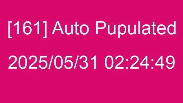 [161] Auto 2025/05/31 02:24:49