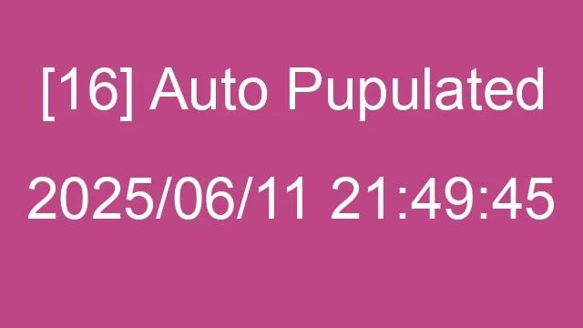 [16] Auto 2025/06/11 21:49:45