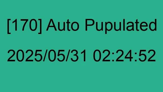 [170] Auto 2025/05/31 02:24:52