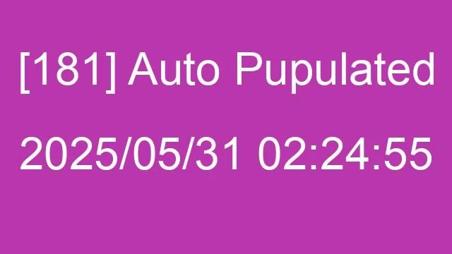 [181] Auto 2025/05/31 02:24:55