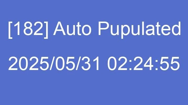 [182] Auto 2025/05/31 02:24:55