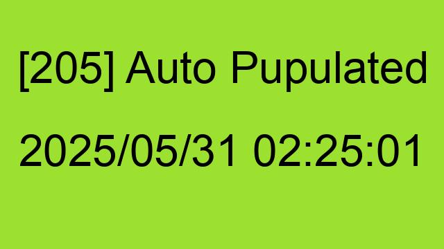 [205] Auto 2025/05/31 02:25:01