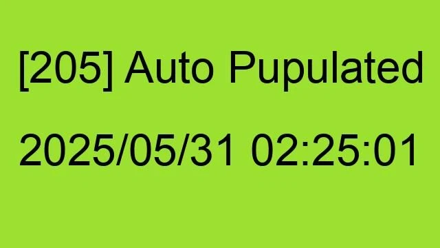 [205] Auto 2025/05/31 02:25:01