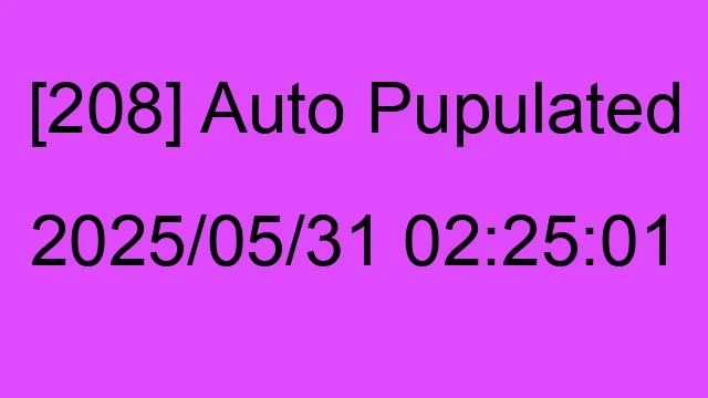 [208] Auto 2025/05/31 02:25:01