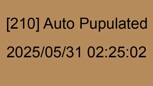 [210] Auto 2025/05/31 02:25:02