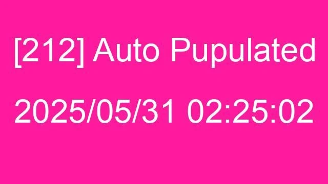 [212] Auto 2025/05/31 02:25:02