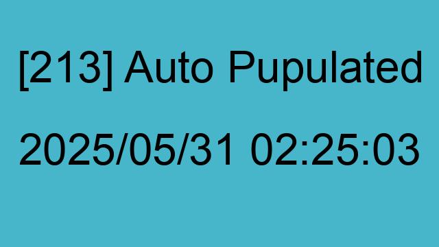 [213] Auto 2025/05/31 02:25:03