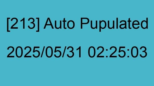 [213] Auto 2025/05/31 02:25:03