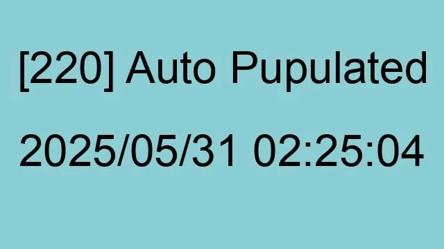 [220] Auto 2025/05/31 02:25:04