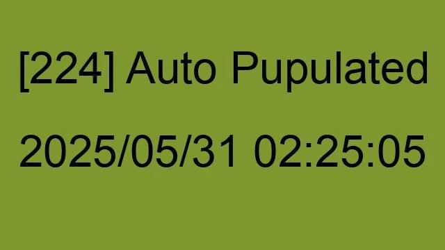 [224] Auto 2025/05/31 02:25:05