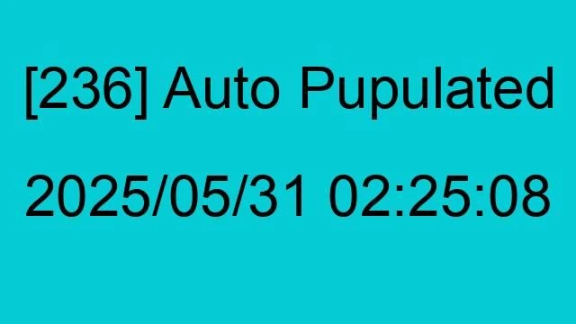 [236] Auto 2025/05/31 02:25:08