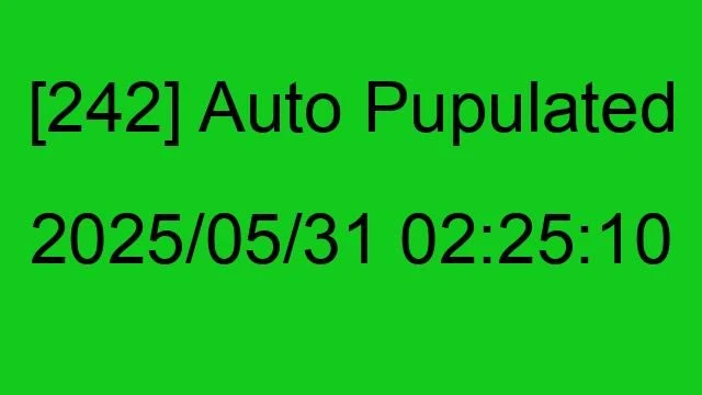 [242] Auto 2025/05/31 02:25:10