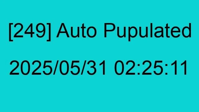 [249] Auto 2025/05/31 02:25:11