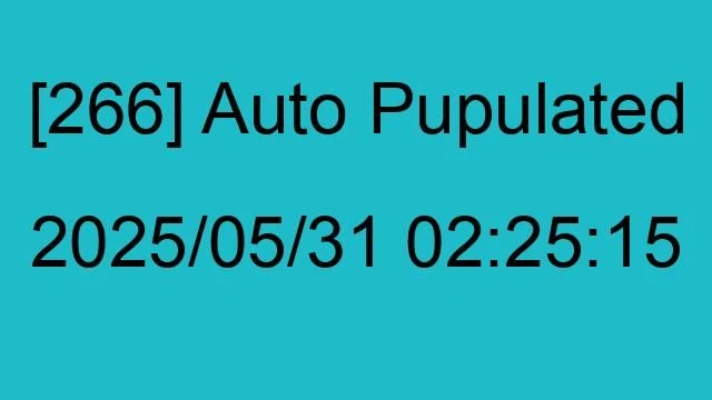 [266] Auto 2025/05/31 02:25:15