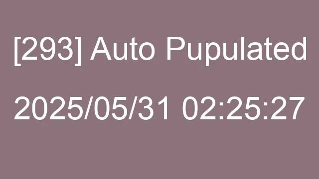 [293] Auto 2025/05/31 02:25:27