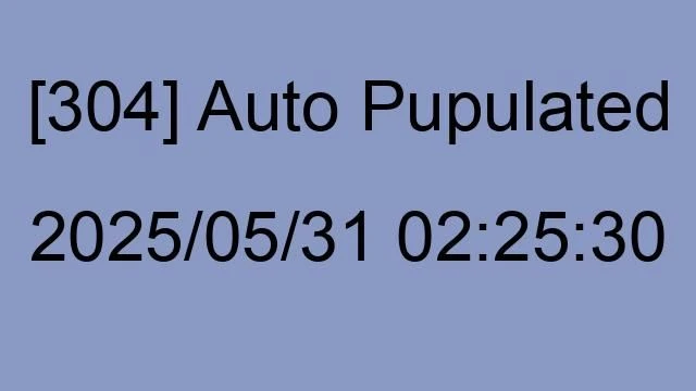 [304] Auto 2025/05/31 02:25:30