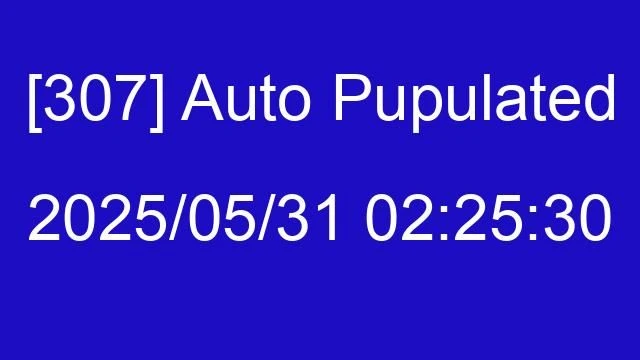 [307] Auto 2025/05/31 02:25:30