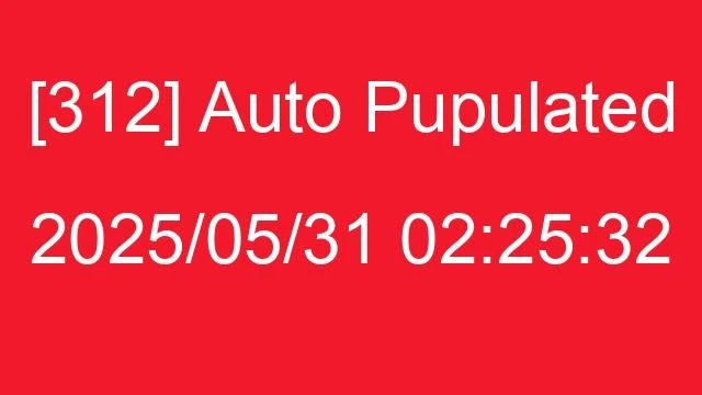[312] Auto 2025/05/31 02:25:32