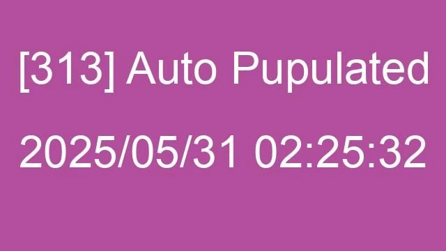 [313] Auto 2025/05/31 02:25:32
