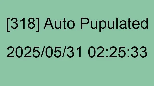 [318] Auto 2025/05/31 02:25:33