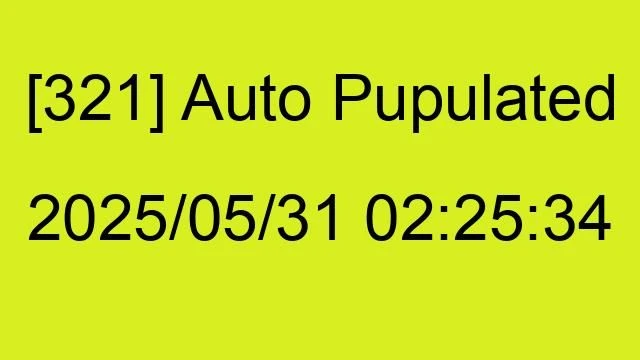 [321] Auto 2025/05/31 02:25:34