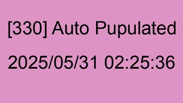 [330] Auto 2025/05/31 02:25:36