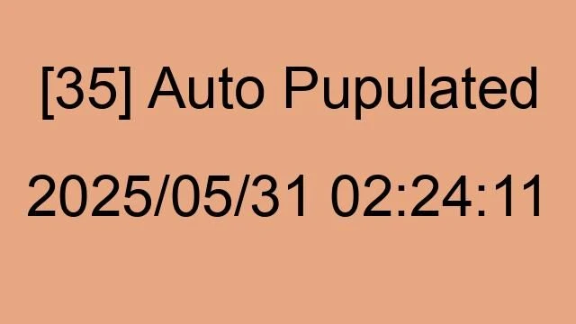 [35] Auto 2025/05/31 02:24:11