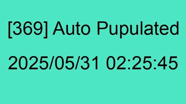 [369] Auto 2025/05/31 02:25:45