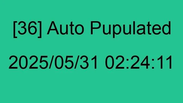[36] Auto 2025/05/31 02:24:11