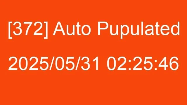 [372] Auto 2025/05/31 02:25:46