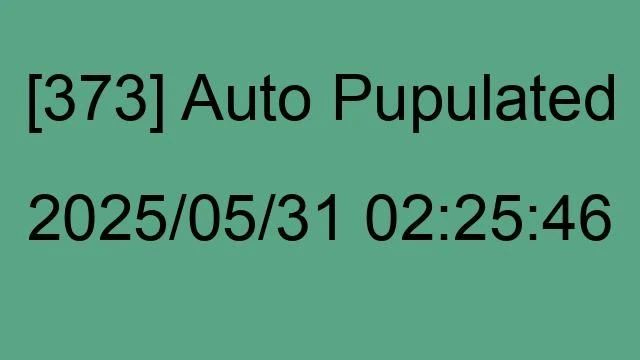 [373] Auto 2025/05/31 02:25:46