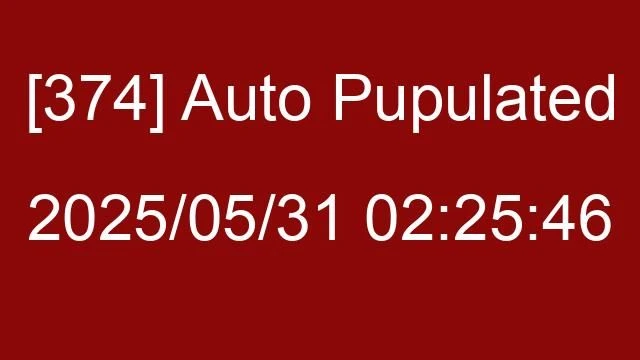[374] Auto 2025/05/31 02:25:46