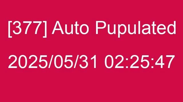 [377] Auto 2025/05/31 02:25:47