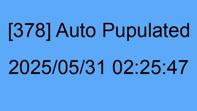 [378] Auto 2025/05/31 02:25:47