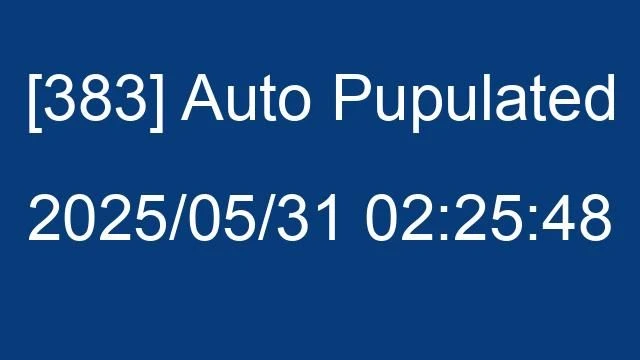 [383] Auto 2025/05/31 02:25:48