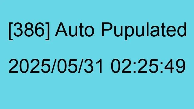 [386] Auto 2025/05/31 02:25:49