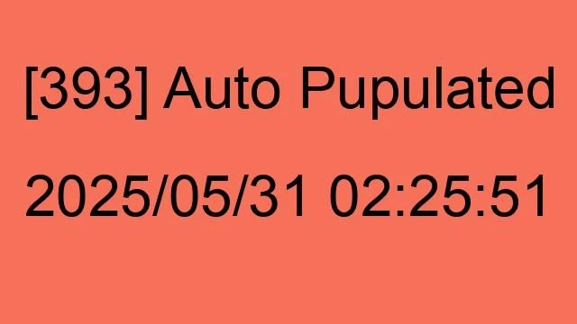 [393] Auto 2025/05/31 02:25:51