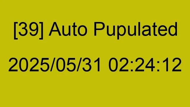 [39] Auto 2025/05/31 02:24:12