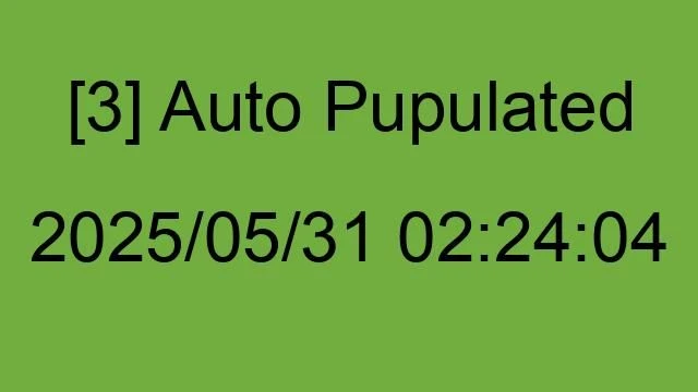 [3] Auto 2025/05/31 02:24:04