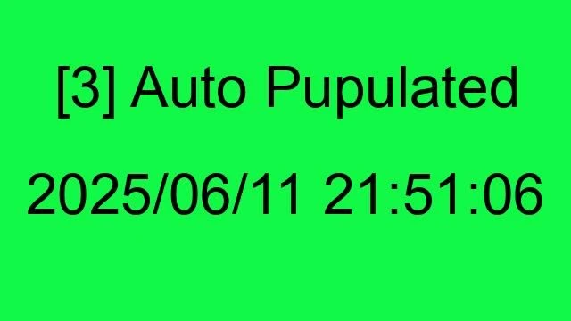 [3] Auto 2025/06/11 21:51:06