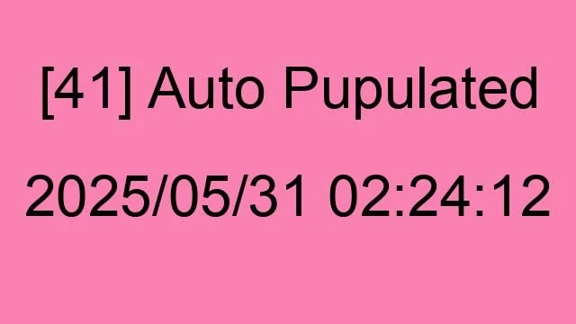 [41] Auto 2025/05/31 02:24:12